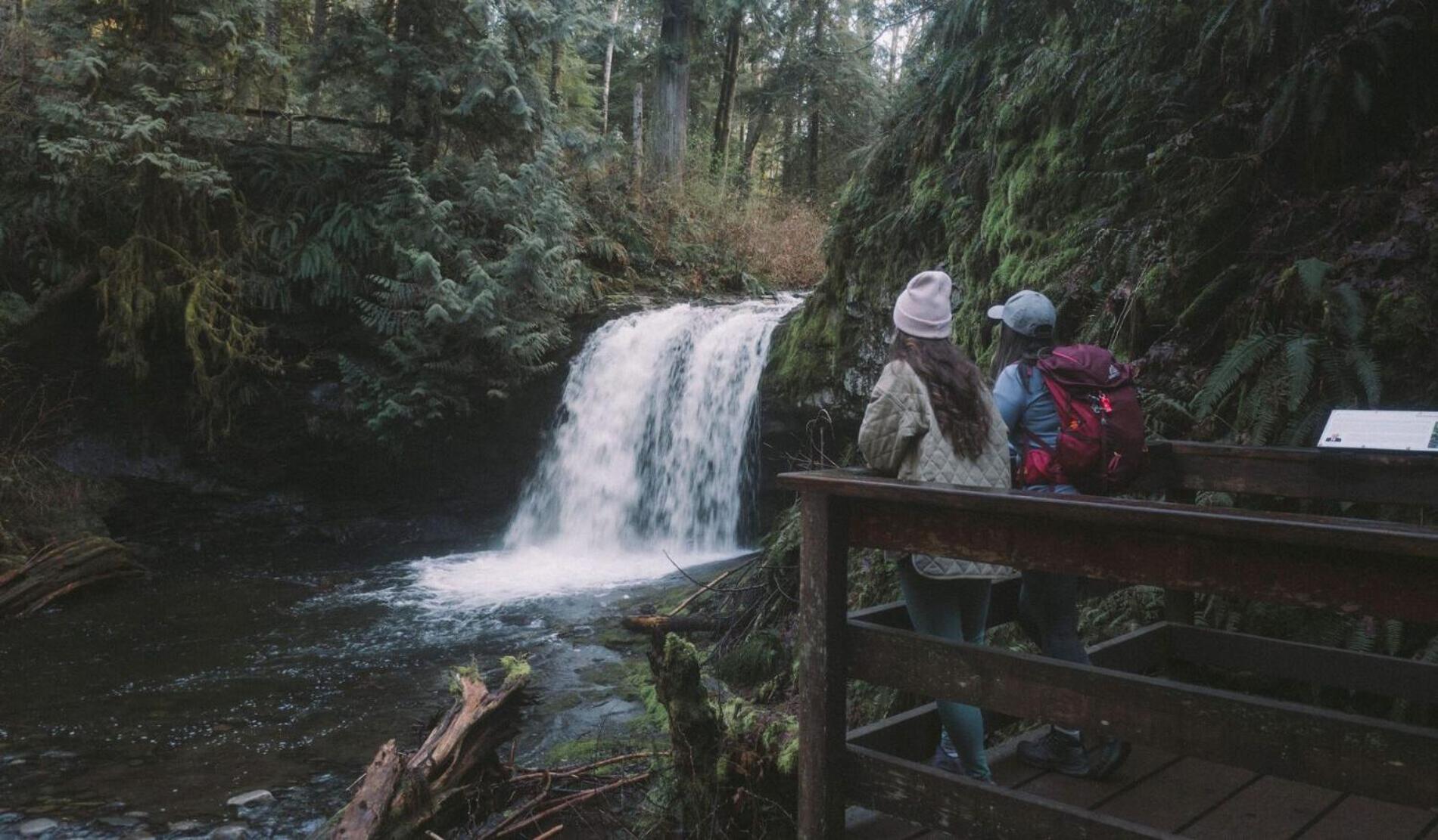 Cowichan Valley Guest Cottage 레이디스미스 외부 사진
