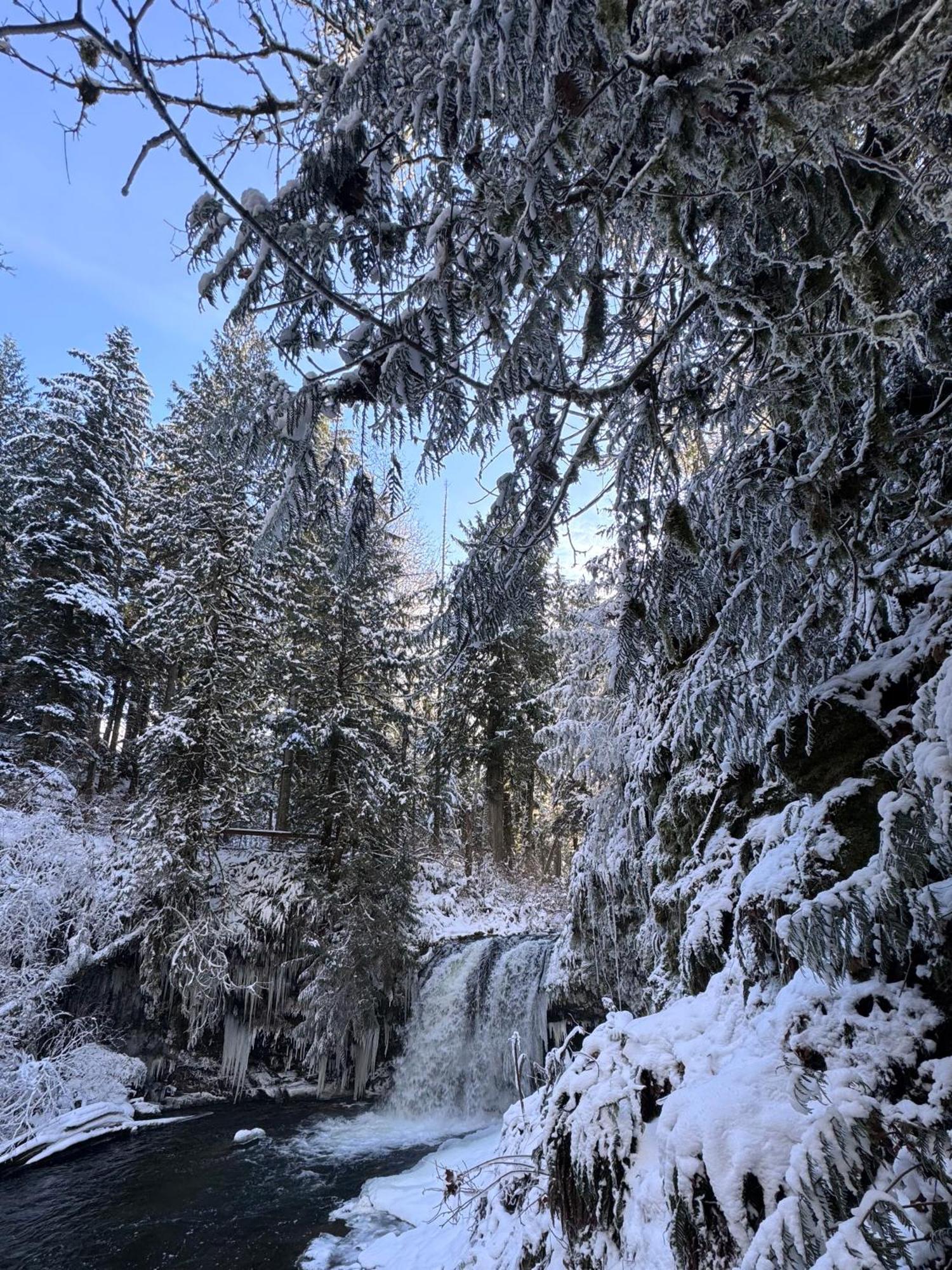 Cowichan Valley Guest Cottage 레이디스미스 외부 사진